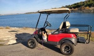 Golf cart, and Corgie
