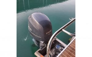 Yamaha 150 outboard motor